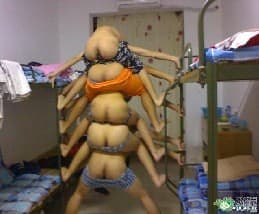 2000.jpg