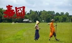 《泰囧》&#8211;笑舒服就及格了