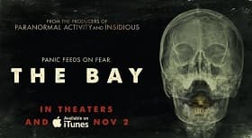 the bay